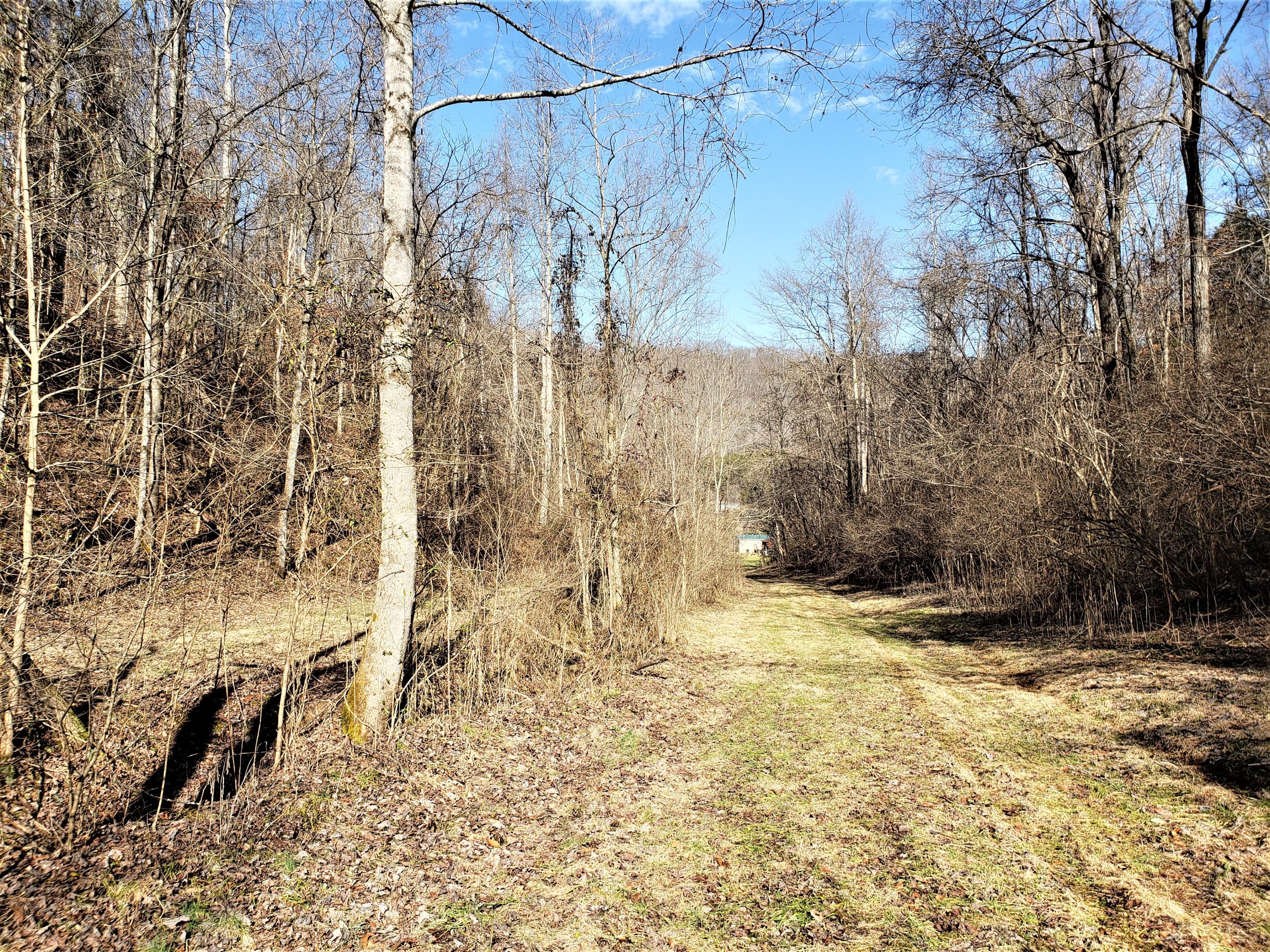 805 Butcher Valley Road Rogersville, TN 37857 - Photo 30 of 34 31
