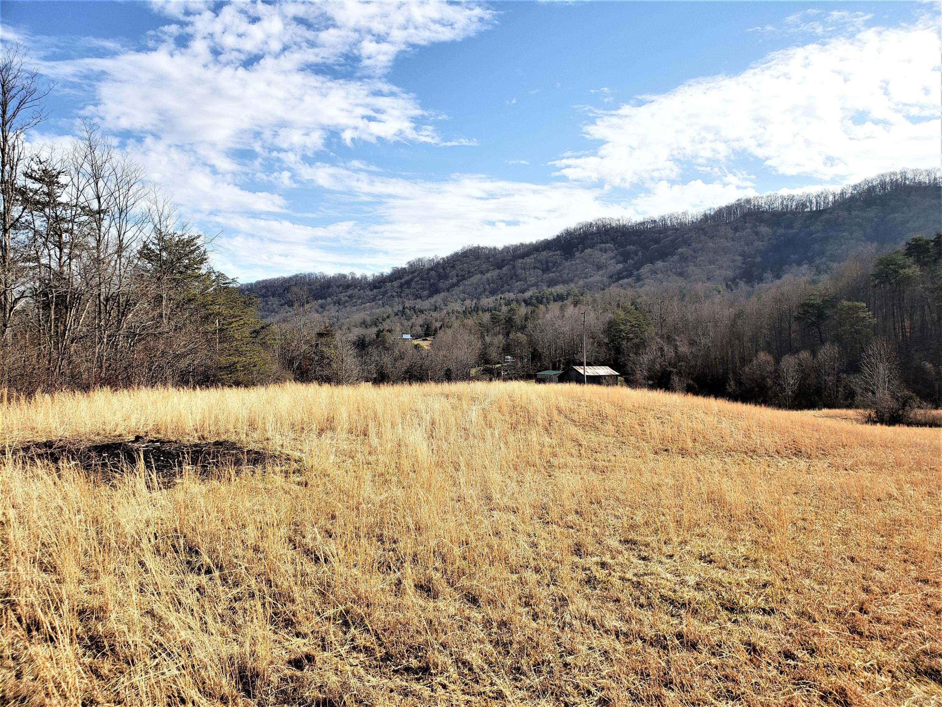 805 Butcher Valley Road Rogersville, TN 37857 - Photo 3 of 34 2