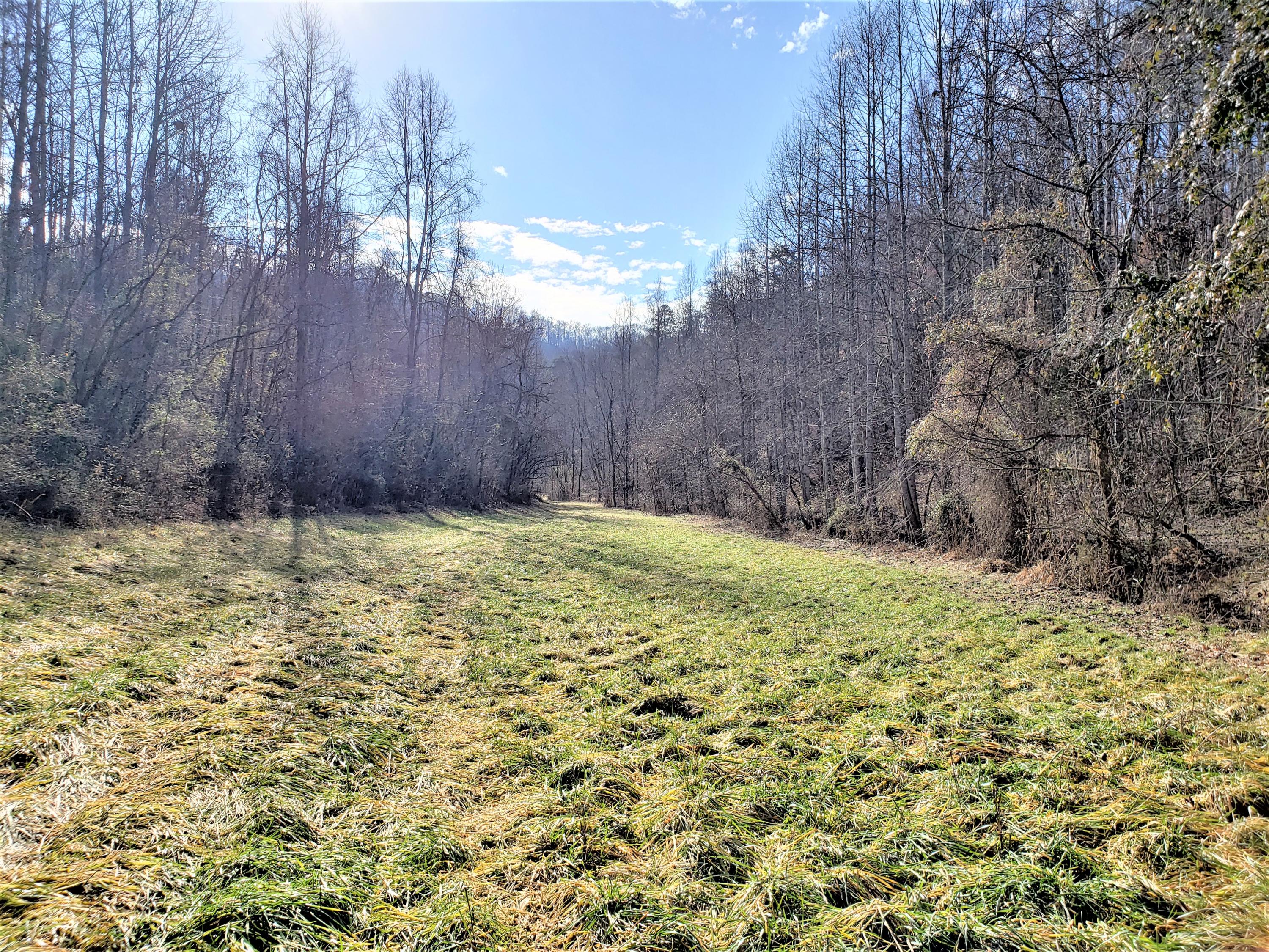 805 Butcher Valley Road Rogersville, TN 37857 - Photo 33 of 34 34