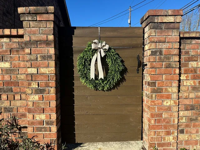 a view of a backyard with plants