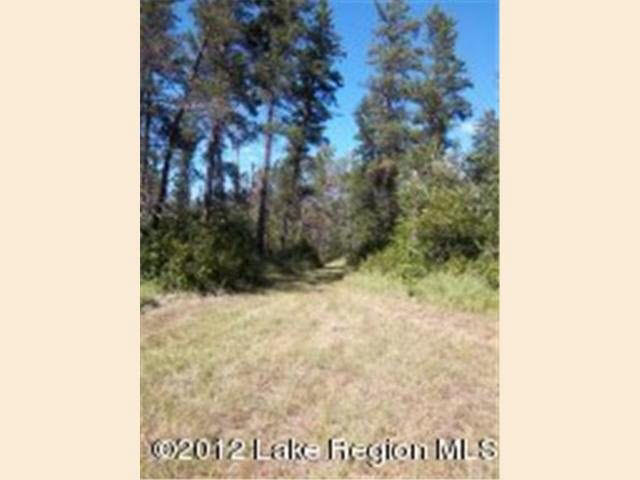 ----- Easement Trail Sebeka, MN 56478 - Photo 11 of 12 Gallery Image 11