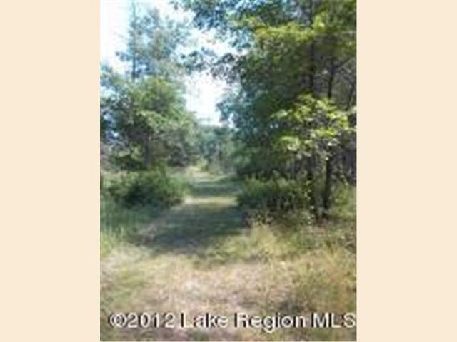 ----- Easement Trail Sebeka, MN 56478 - Photo 8 of 12 Gallery Image 8