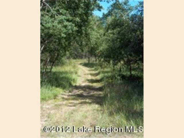 ----- Easement Trail Sebeka, MN 56478 - Photo 10 of 12 Gallery Image 10