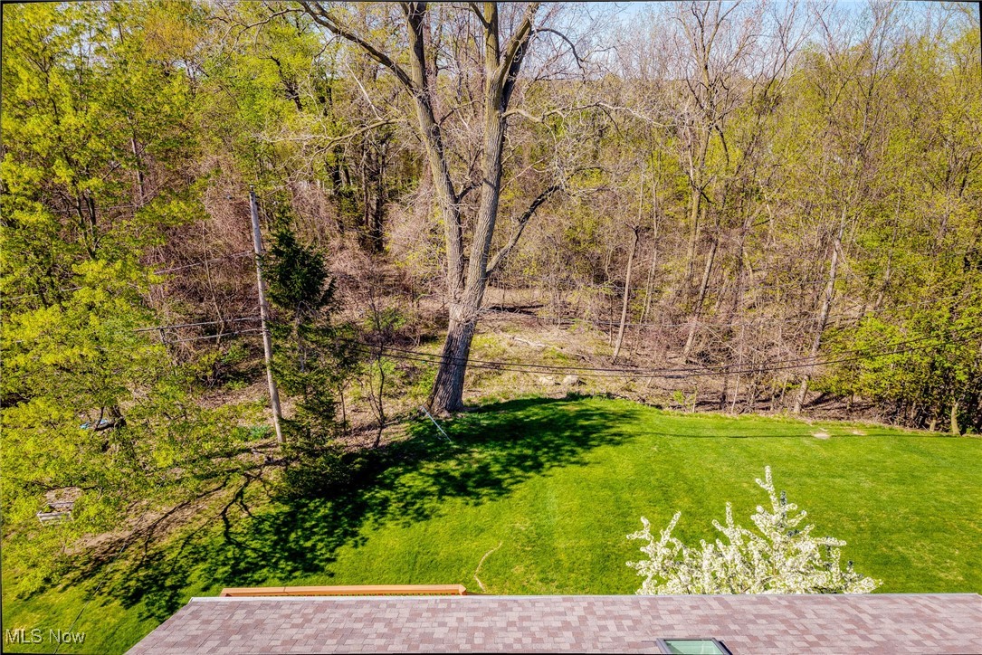 4819 Geraldine Avenue Cleveland, OH 44143 - Photo 30 of 33 Park-like yard
