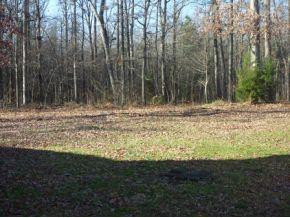 4210 Lynch Store Road Mebane, NC 27302 - Photo 15 of 17 Gallery Image 15