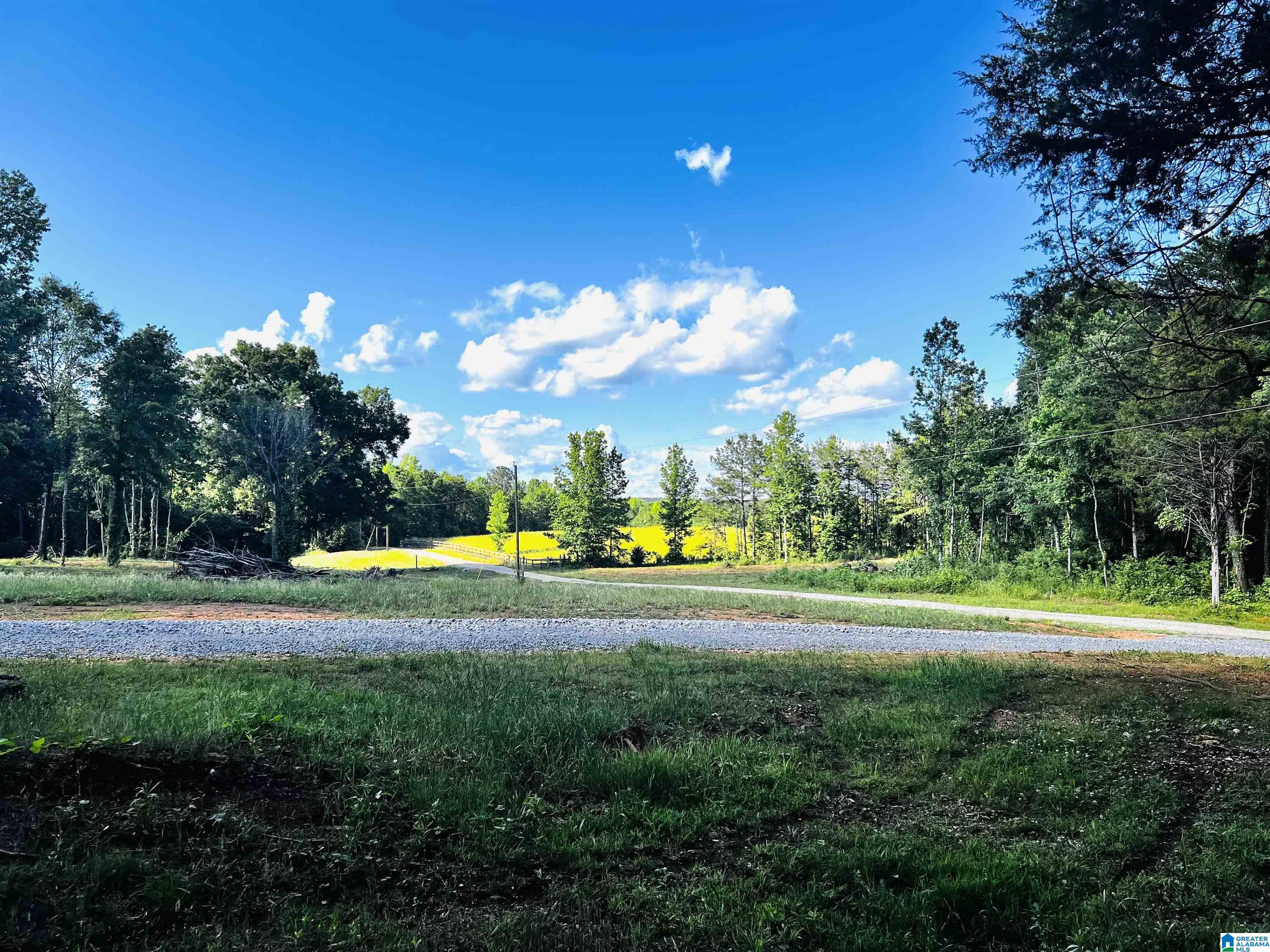 424 Ronbar Road, Unit 1 Columbiana, AL 35051 - Photo 20 of 39