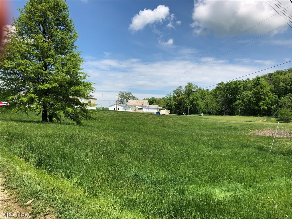 75337 Old Twenty One Road Kimbolton, OH 43749 - Photo 2 of 8 Gallery Image 2