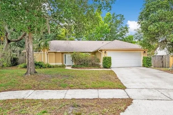 a view of a house with a yard plants and large tree