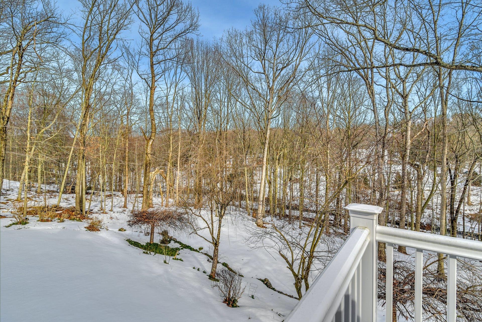 258 Jonathan Road New Canaan, CT 06840 - Photo 27 of 33 a view of outdoor space with seating area