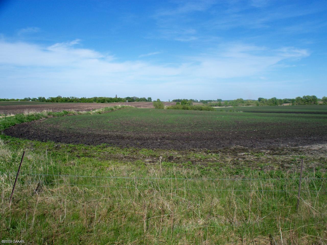 Stoneridge Road Northwest Garfield, MN 56332 - Photo 1 of 1 Gallery Image 1