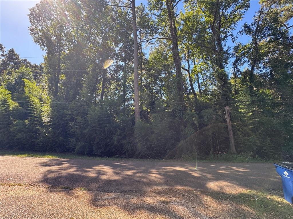 0 Austin Road Jena, LA 71342 - Photo 3 of 9