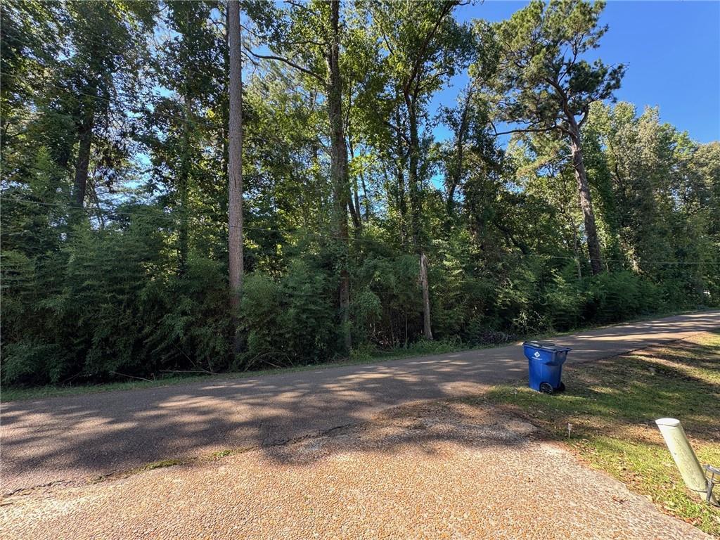 0 Austin Road Jena, LA 71342 - Photo 4 of 9