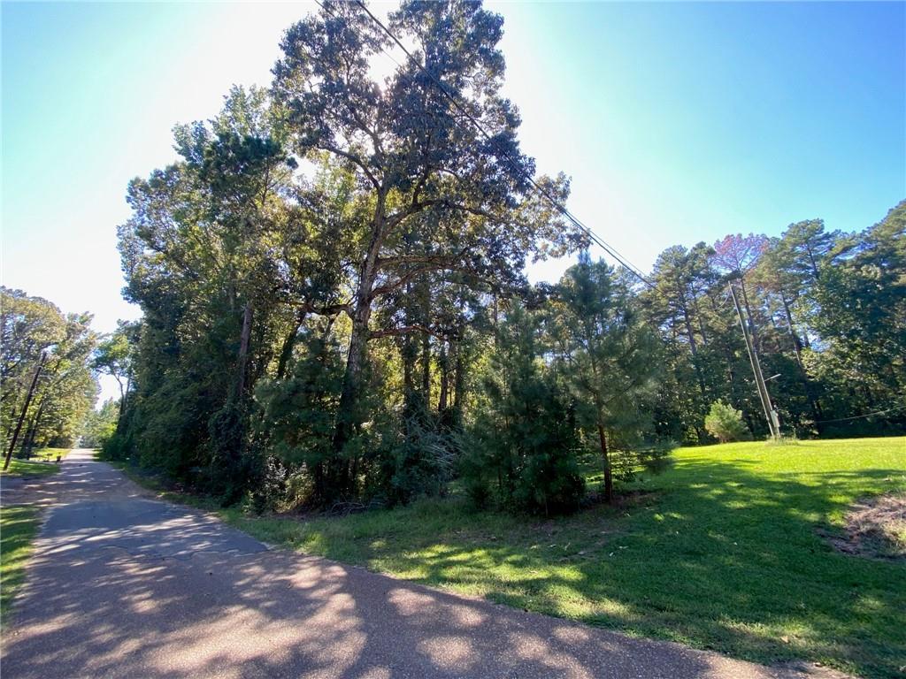 0 Austin Road Jena, LA 71342 - Photo 5 of 9