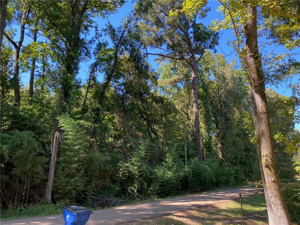 0 Austin Road Jena, LA 71342 - Photo 9 of 9