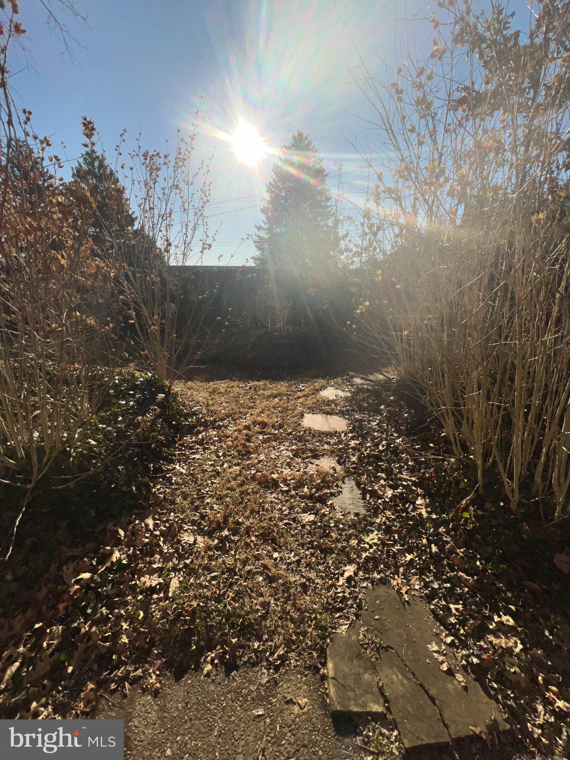 7759 Mellon Road Wyncote, PA 19095 - Photo 4 of 9 Sunlit path through autumn foliage.