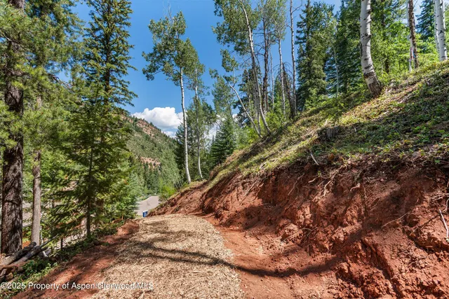 a view of a yard with plants and trees