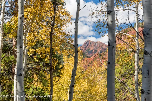$5,995,000 | Tbd Exhibition Lane, Unit LOT 13, Aspen, CO 81611