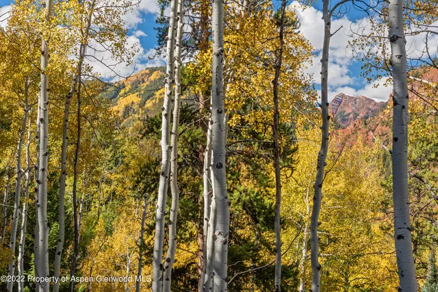 $5,995,000 | Tbd Exhibition Lane, Unit LOT 13, Aspen, CO 81611