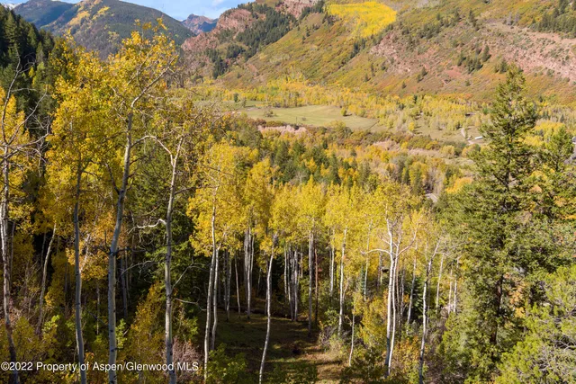 $5,995,000 | Tbd Exhibition Lane, Unit LOT 13, Aspen, CO 81611