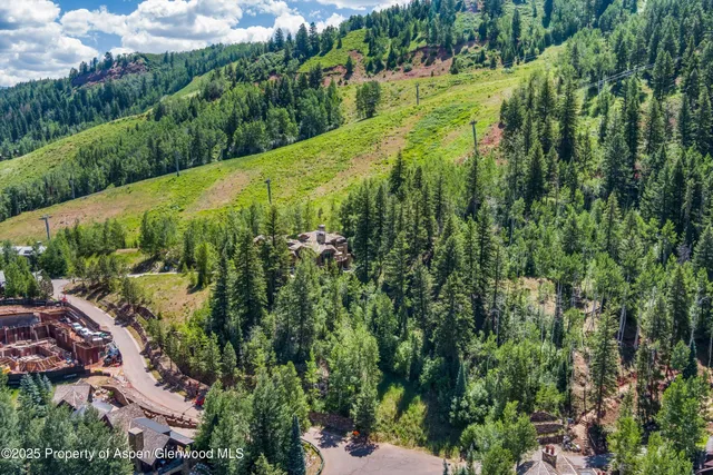 an aerial view of residential houses with outdoor space and trees