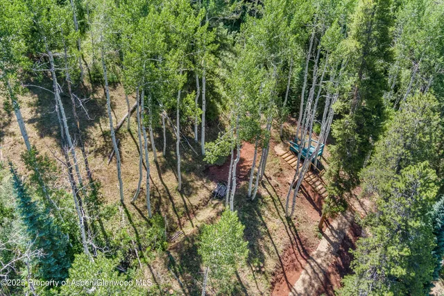 a backyard of a house with lots of trees
