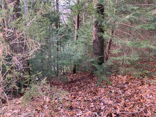 0 Blackburn Fork Road Silver Point, TN 38582 - Photo 1 of 15