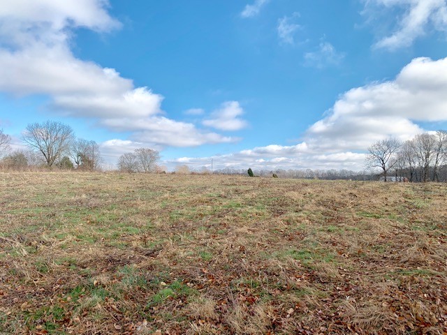 0 Blackburn Fork Road Silver Point, TN 38582 - Photo 4 of 15