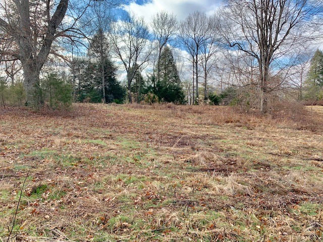 0 Blackburn Fork Road Silver Point, TN 38582 - Photo 5 of 15