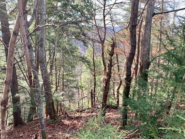 0 Blackburn Fork Road Silver Point, TN 38582 - Photo 6 of 15