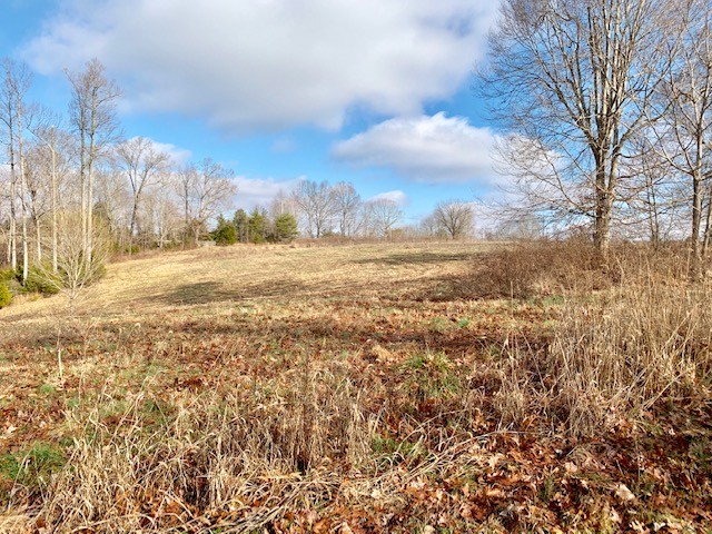 0 Blackburn Fork Road Silver Point, TN 38582 - Photo 7 of 15