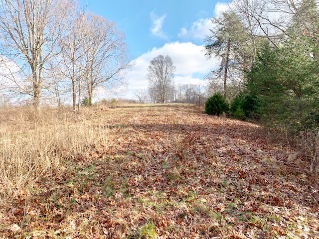 0 Blackburn Fork Road Silver Point, TN 38582 - Photo 8 of 15