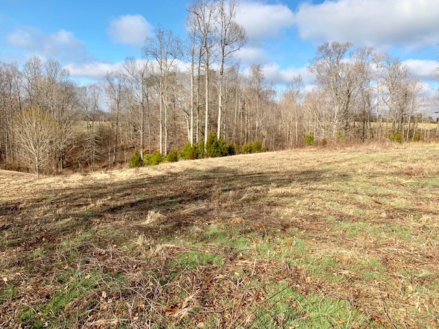 0 Blackburn Fork Road Silver Point, TN 38582 - Photo 9 of 15