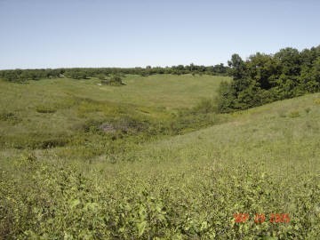 144 Peach Road Carbondale, IL 62903 - Photo 2 of 7 Gallery Image 2