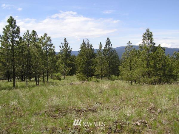 6-tbd Squirrel Road Tonasket, WA 98855 - Photo 1 of 9