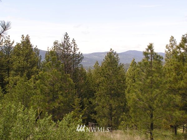 6-tbd Squirrel Road Tonasket, WA 98855 - Photo 2 of 9