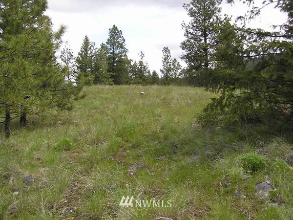 6-tbd Squirrel Road Tonasket, WA 98855 - Photo 3 of 9