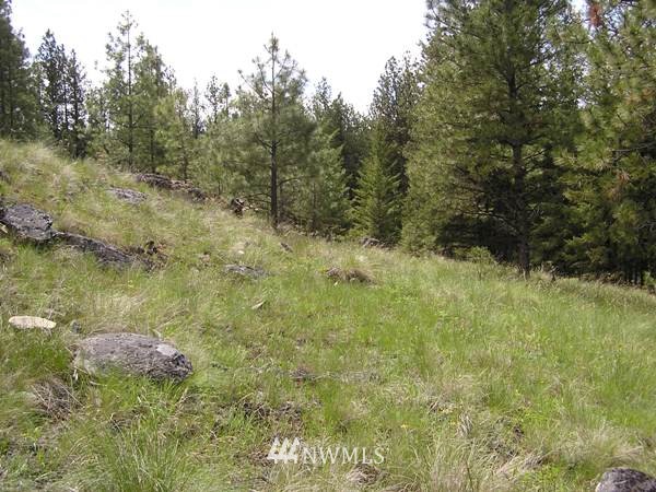 6-tbd Squirrel Road Tonasket, WA 98855 - Photo 4 of 9