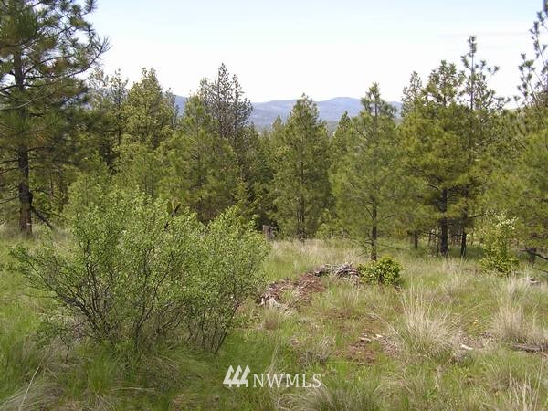 6-tbd Squirrel Road Tonasket, WA 98855 - Photo 5 of 9