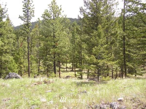 6-tbd Squirrel Road Tonasket, WA 98855 - Photo 7 of 9