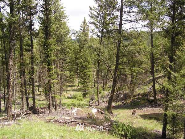 6-tbd Squirrel Road Tonasket, WA 98855 - Photo 8 of 9