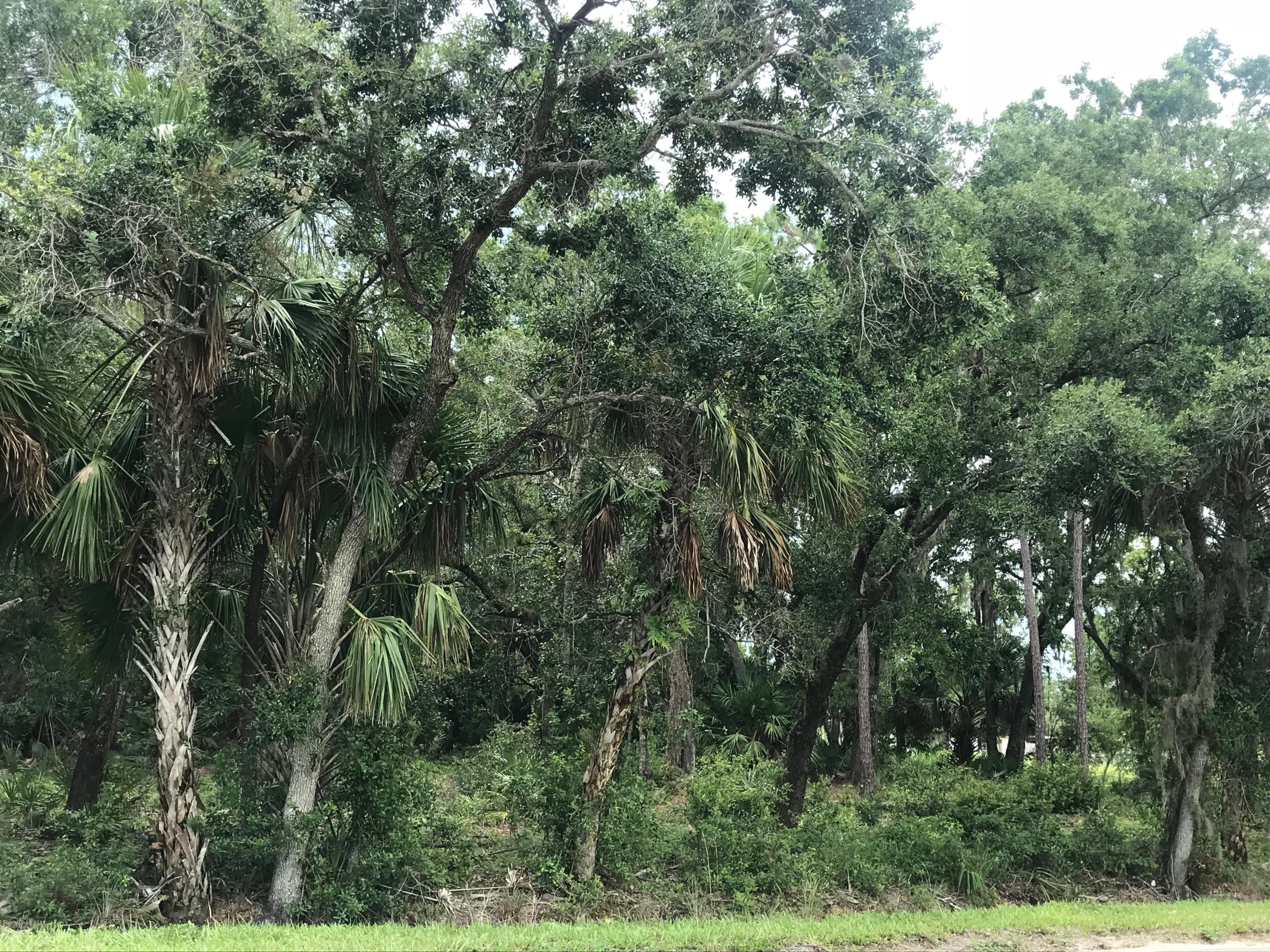 2082 Cox Road Cocoa, FL 32926 - Photo 1 of 5 Road View
