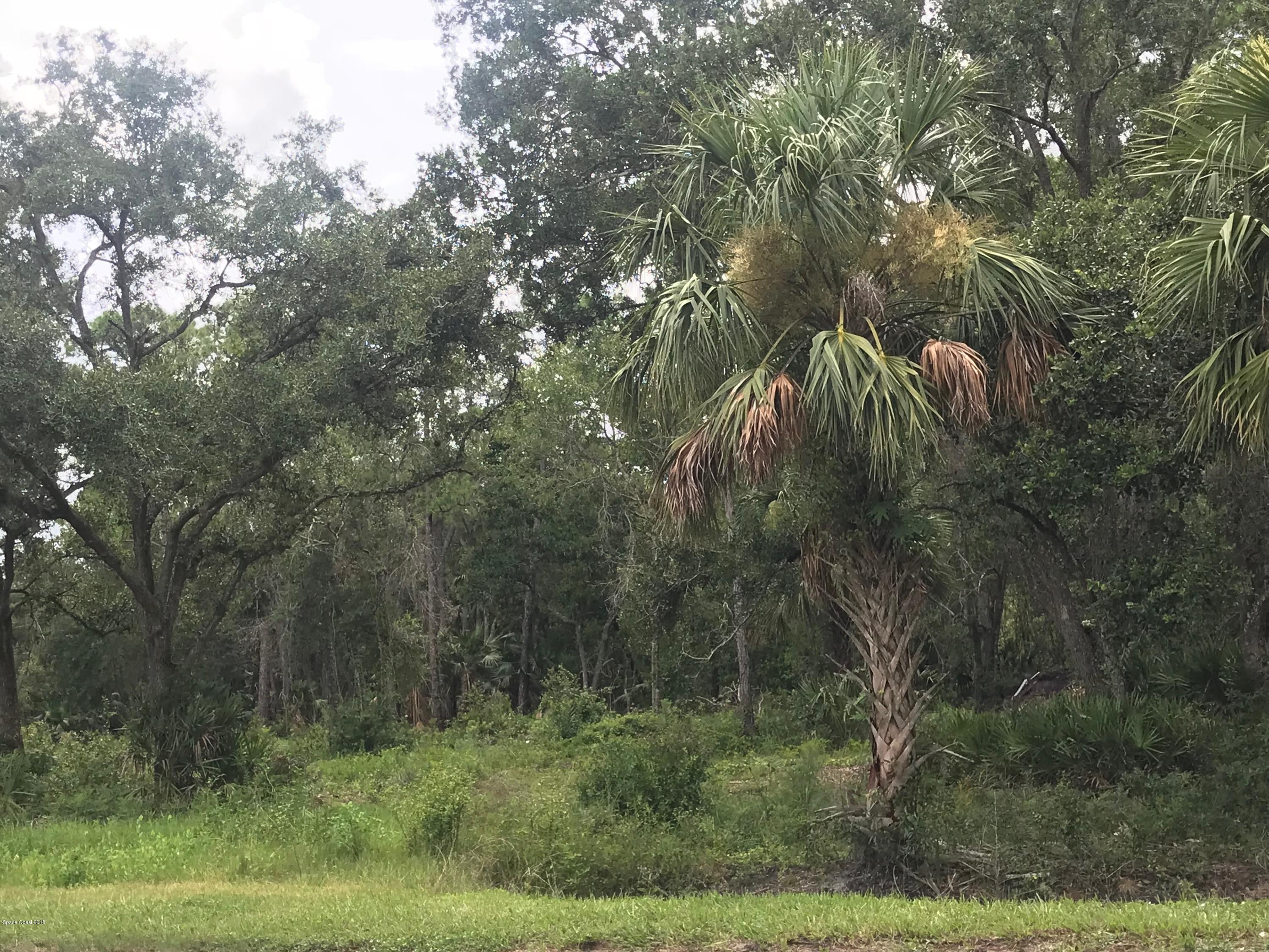 2082 Cox Road Cocoa, FL 32926 - Photo 3 of 5 IMG-5079