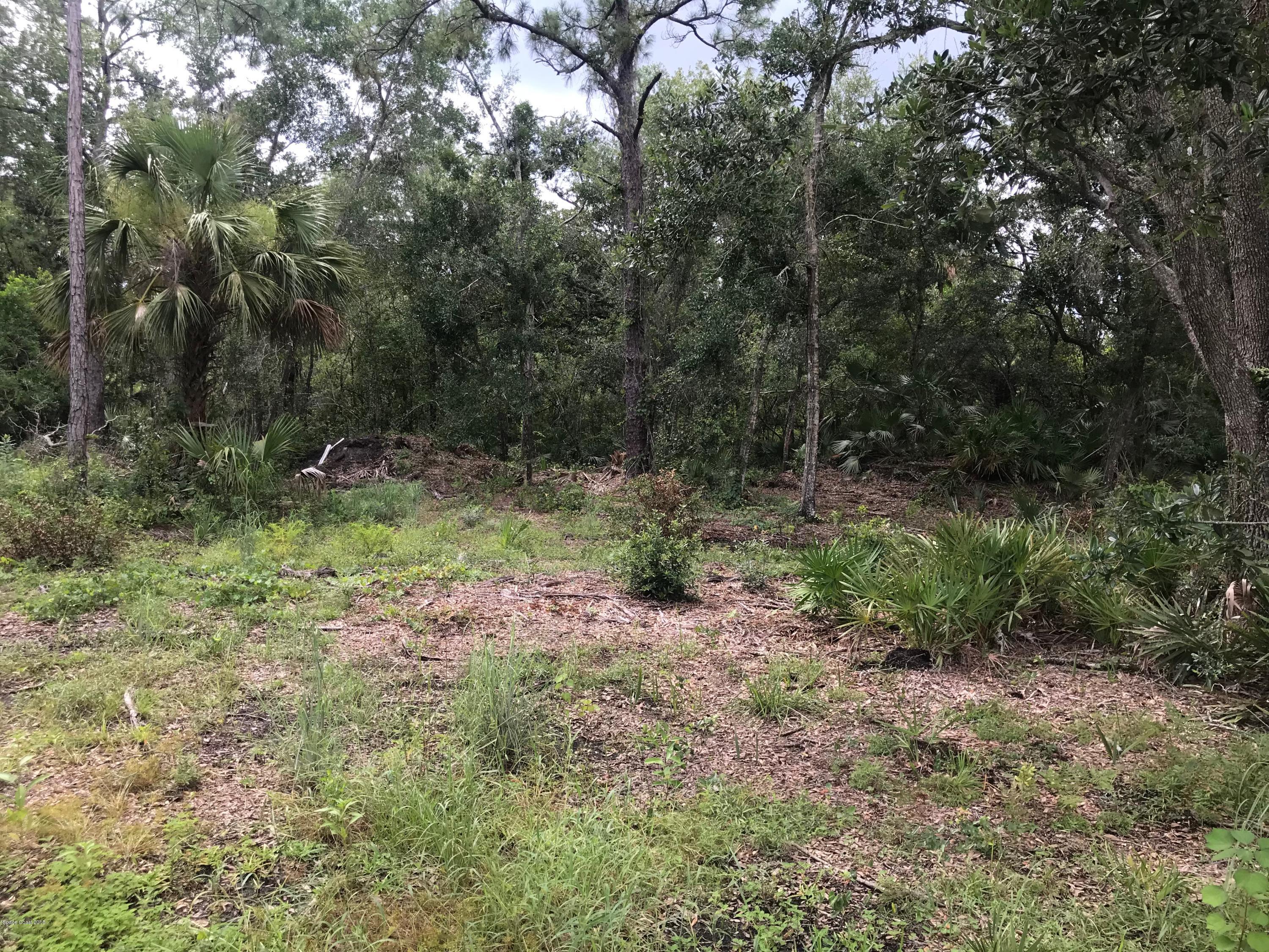 2082 Cox Road Cocoa, FL 32926 - Photo 4 of 5 IMG-5086
