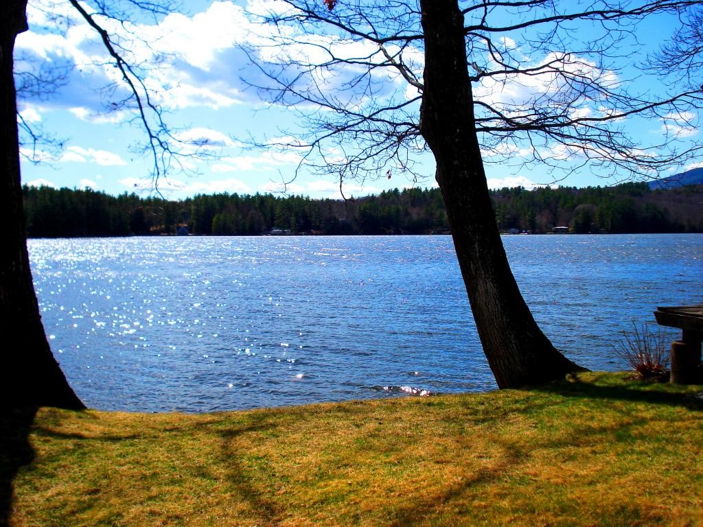 121 Channel Road Andover, NH 03216 - Photo 5 of 36