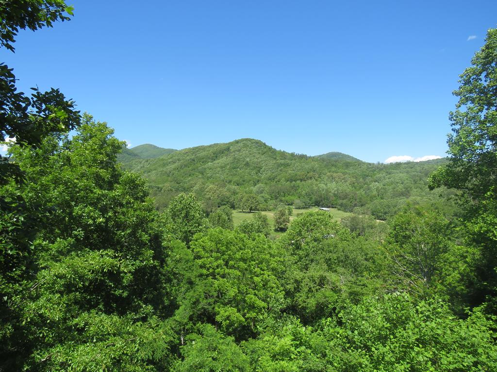 905 Johnson Road Hiawassee, GA 30546 - Photo 28 of 30 Gallery Image 28