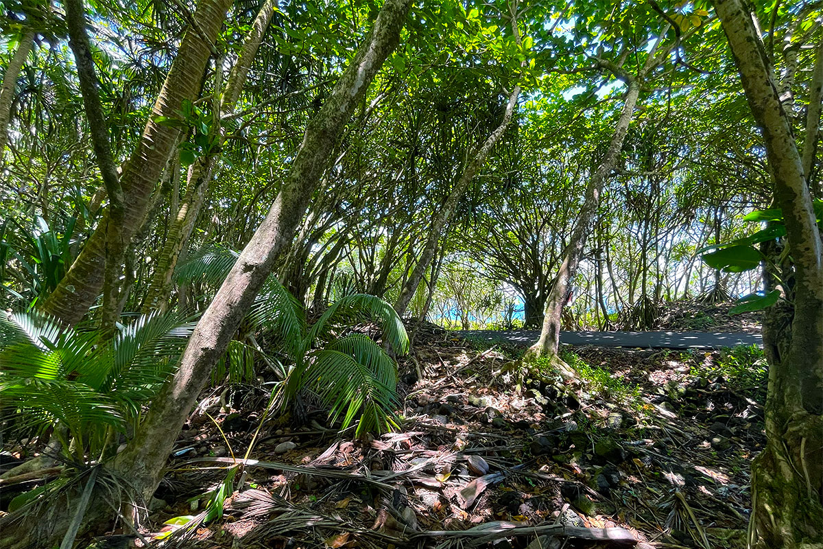81 Government Beach Road Pahoa, HI 96778 - Photo 14 of 30