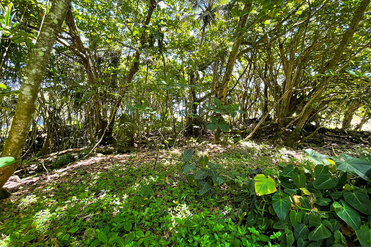 81 Government Beach Road Pahoa, HI 96778 - Photo 15 of 30