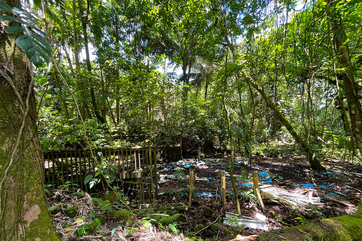 81 Government Beach Road Pahoa, HI 96778 - Photo 16 of 30