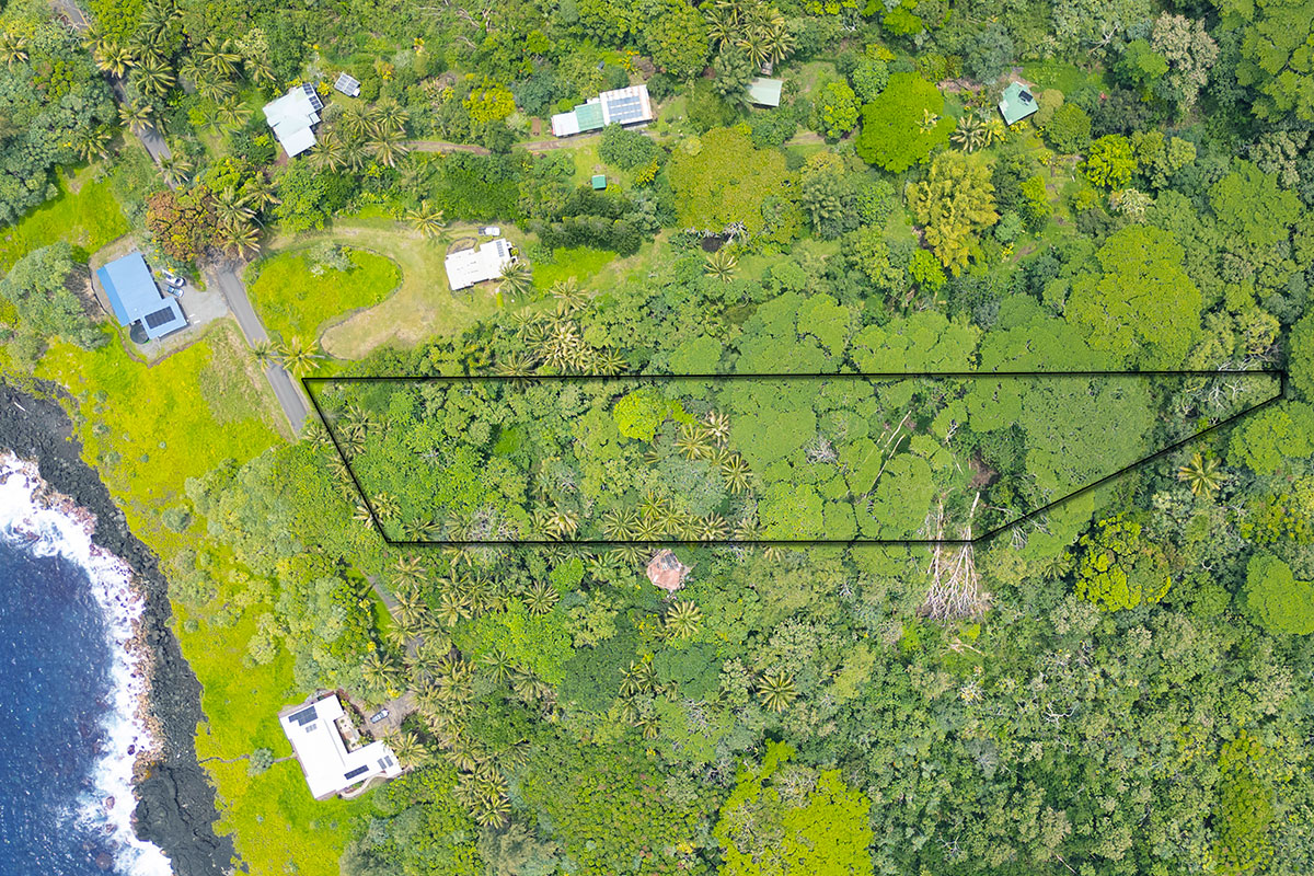 81 Government Beach Road Pahoa, HI 96778 - Photo 2 of 30