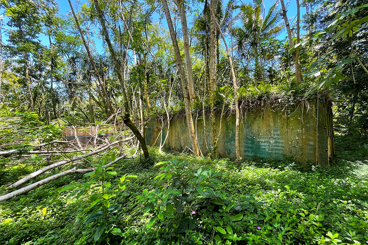 81 Government Beach Road Pahoa, HI 96778 - Photo 22 of 30